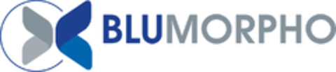 BLUMORPHO Logo (EUIPO, 02/21/2019)