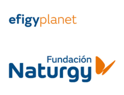 EFIGYPLANET FUNDACION NATURGY Logo (EUIPO, 01/20/2021)