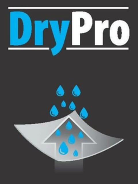 DryPro Logo (EUIPO, 28.09.2023)