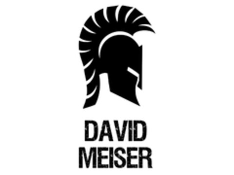 DAVID MEISER Logo (EUIPO, 07/03/2014)