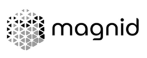 magnid Logo (EUIPO, 02/22/2021)