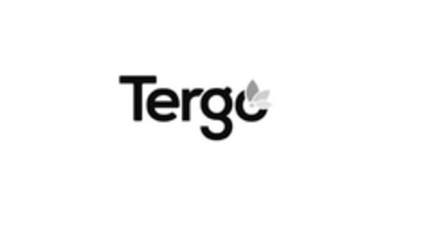 Tergo Logo (EUIPO, 06.06.2023)