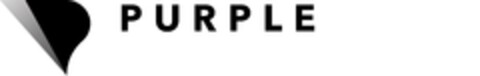PURPLE Logo (EUIPO, 21.06.2023)