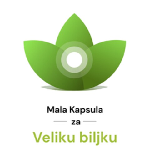 Mala Kapsula za Veliku biljku Logo (EUIPO, 23.04.2024)