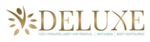 DELUXE 100% PAINLESS LASER HAIR REMOVAL | ANTI-AGING | BODY CONTOURING Logo (EUIPO, 06/13/2017)