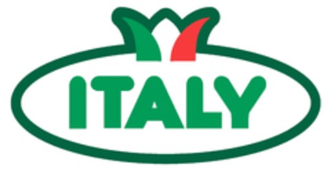 ITALY Logo (EUIPO, 02/28/2013)