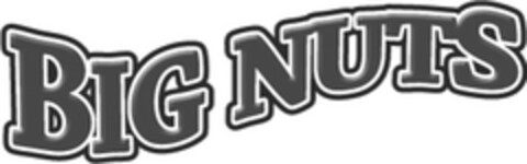 BIG NUTS Logo (EUIPO, 09/12/2013)