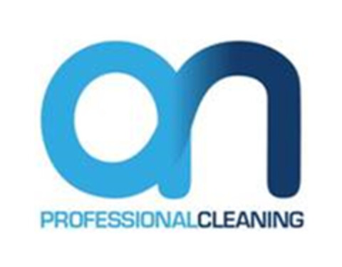 AN PROFESSIONAL CLEANING Logo (EUIPO, 24.10.2019)