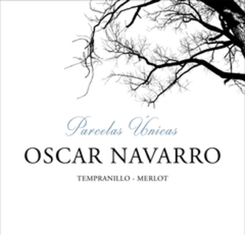 Parcelas Únicas OSCAR NAVARRO Logo (EUIPO, 11.12.2020)