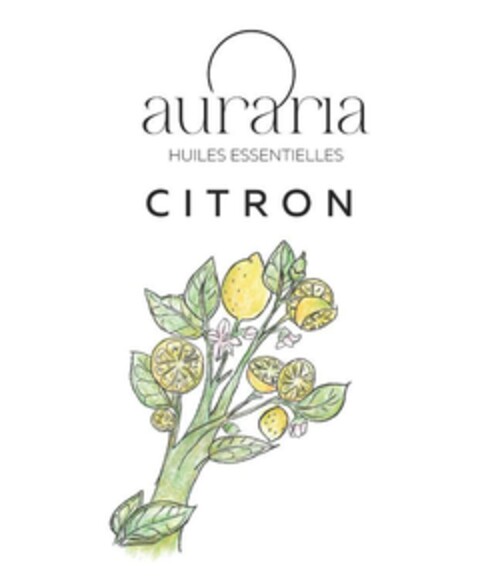 auraria HUILES ESSENTIELLES CITRON Logo (EUIPO, 14.05.2024)