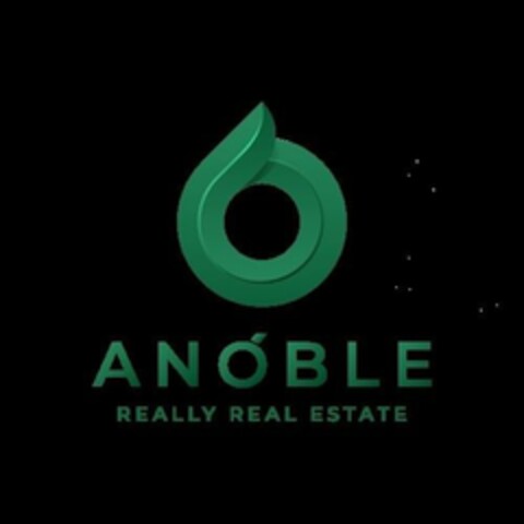 ANOBLE REALLY REAL ESTATE Logo (EUIPO, 09/09/2024)