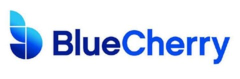 BlueCherry Logo (EUIPO, 02/06/2025)