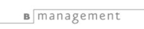 B-MANAGEMENT Logo (EUIPO, 09/17/2009)