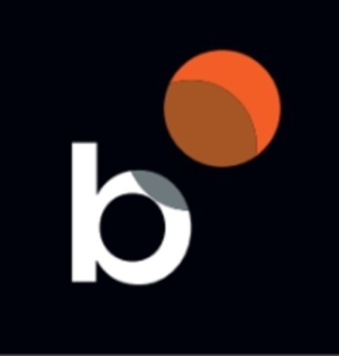 b Logo (EUIPO, 26.02.2019)