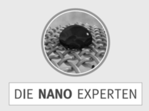 DIE NANO EXPERTEN Logo (EUIPO, 11.01.2006)