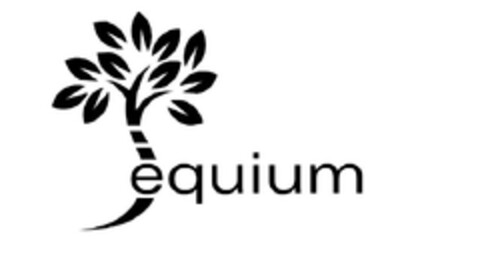 EQUIUM Logo (EUIPO, 12.10.2010)