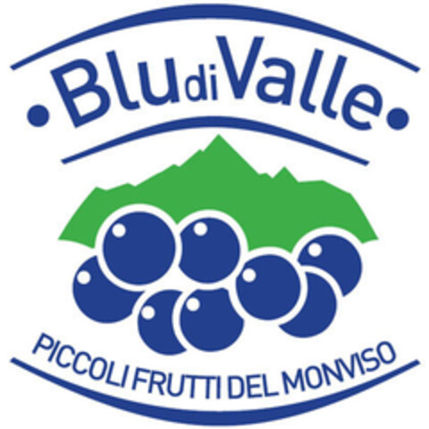 BLU DI VALLE PICCOLI FRUTTI DEL MONVISO Logo (EUIPO, 19.06.2015)