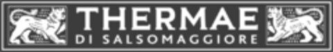THERMAE DI SALSOMAGGIORE Logo (EUIPO, 17.06.2019)