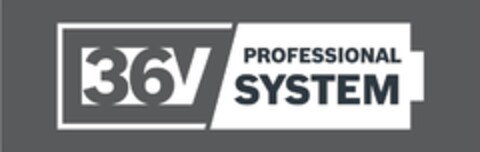 36V PROFESSIONAL SYSTEM Logo (EUIPO, 06.08.2020)