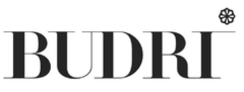 BUDRI Logo (EUIPO, 01/29/2024)