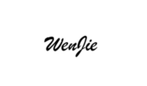 WenJie Logo (EUIPO, 04/17/2017)