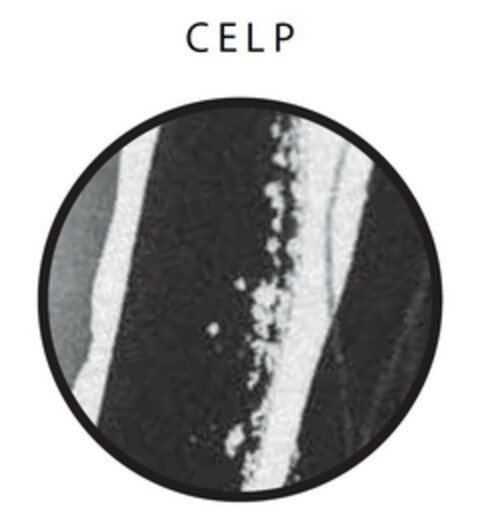CELP Logo (EUIPO, 25.05.2020)