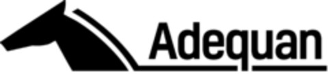 ADEQUAN Logo (EUIPO, 03/05/2021)