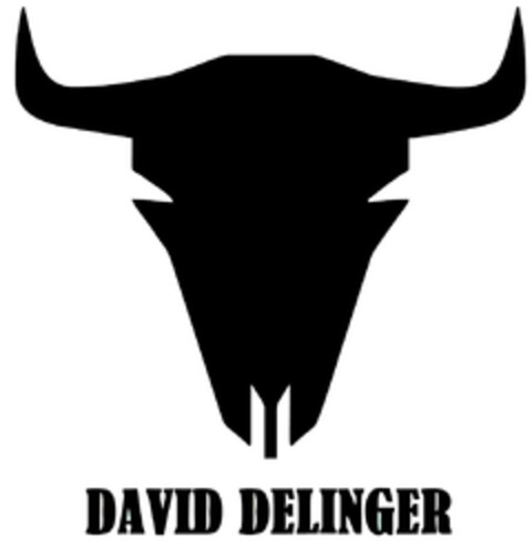 DAVID DELINGER Logo (EUIPO, 03.05.2021)