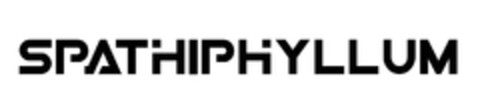 SPATHIPHYLLUM Logo (EUIPO, 03/14/2024)