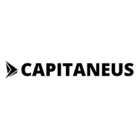 CAPITANEUS Logo (EUIPO, 27.06.2024)