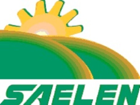 SAELEN Logo (EUIPO, 24.03.2011)