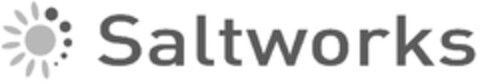 SALTWORKS Logo (EUIPO, 27.03.2013)