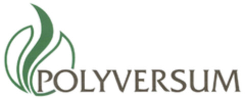 POLYVERSUM Logo (EUIPO, 11.07.2013)