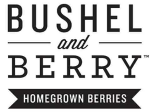 BUSHEL AND BERRY HOMEGROWN BERRIES Logo (EUIPO, 10/21/2016)