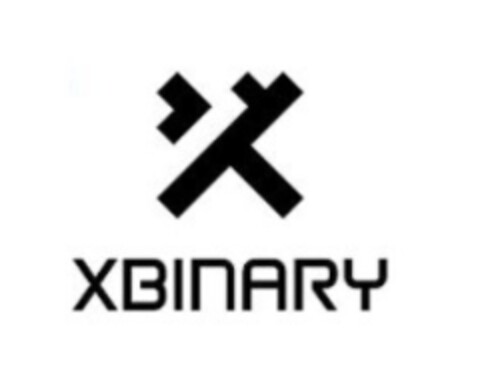 XBINARY Logo (EUIPO, 07.02.2022)