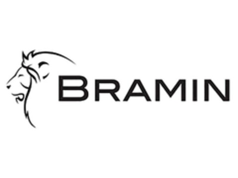 BRAMIN Logo (EUIPO, 05.02.2024)