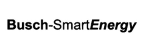BUSCH-SMARTENERGY Logo (EUIPO, 28.07.2010)