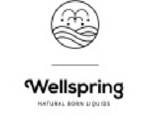 Wellspring NATURAL BORN LIQUIDS Logo (EUIPO, 26.08.2014)