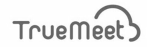 TrueMeet Logo (EUIPO, 26.11.2015)