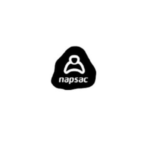 NAPSAC Logo (EUIPO, 27.02.2009)