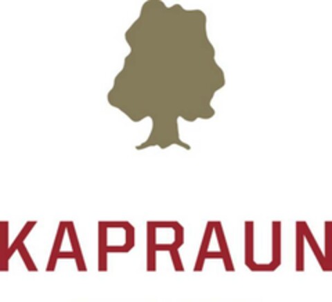 KAPRAUN Logo (EUIPO, 08/01/2014)