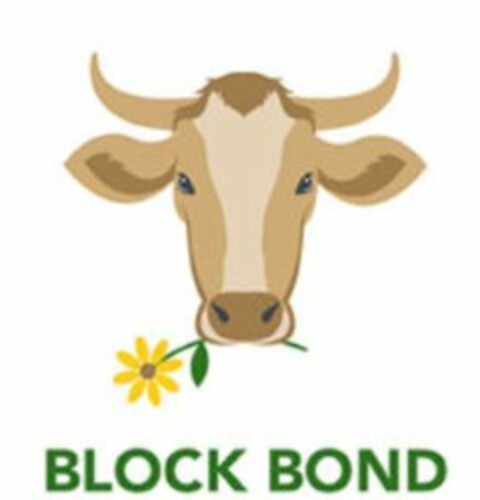 BLOCK BOND Logo (EUIPO, 02.08.2019)