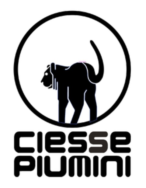 CIESSE PIUMINI Logo (EUIPO, 27.02.2020)