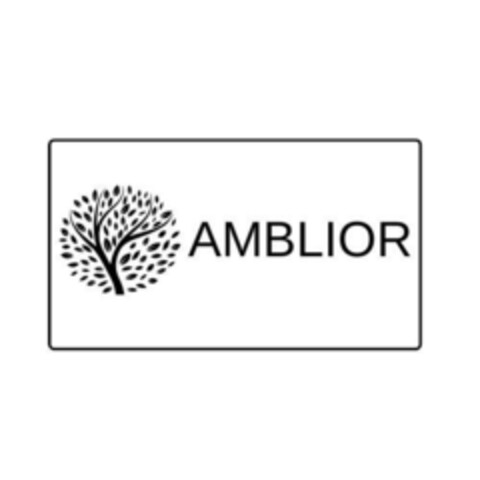 AMBLIOR Logo (EUIPO, 27.08.2024)