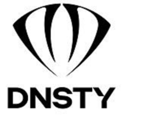 DNSTY Logo (EUIPO, 10/29/2024)