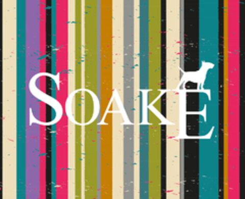 SOAKE Logo (EUIPO, 28.04.2015)