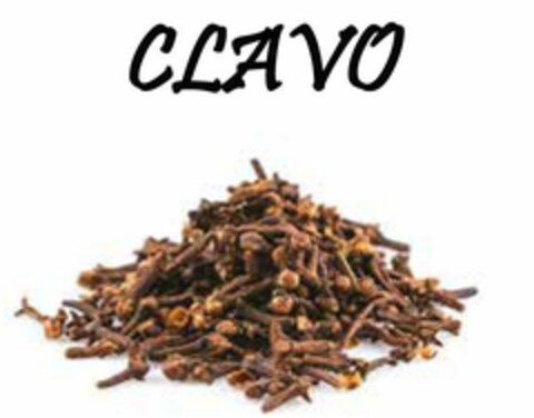 CLAVO Logo (EUIPO, 01/19/2021)