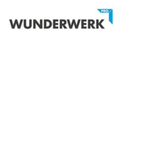WUNDERWERK PRO Logo (EUIPO, 22.02.2024)