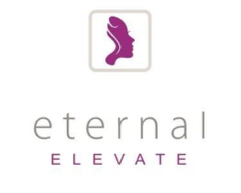 Eternal Elevate Logo (EUIPO, 26.03.2015)
