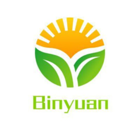 Binyuan Logo (EUIPO, 09.08.2019)